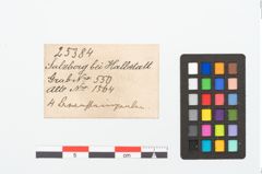 Etikett zu Bernsteinperlenkette (NHMW-PRAE-025384)